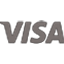 visa logo payment
