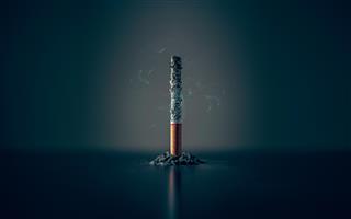 Les Cigarettes Électroniques Jetables Qui Ressemblent à des Cigarettes
