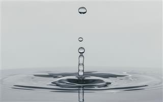 Pourquoi les Cigalikes fonctionnent toujours